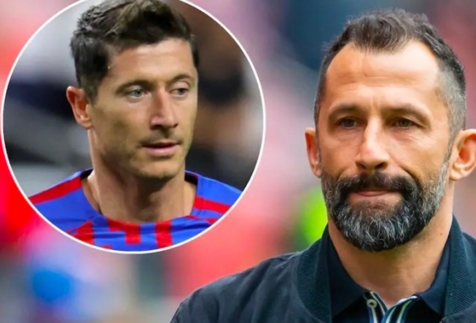 充分展示了 充分展示了